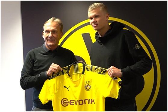 台的自我证 台的自我证