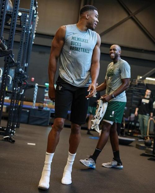 的保守取舍 的保守取舍