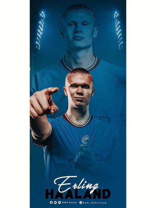 业生涯结束